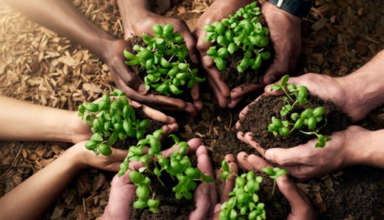Food security