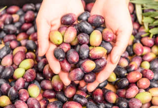 Huile d'olive