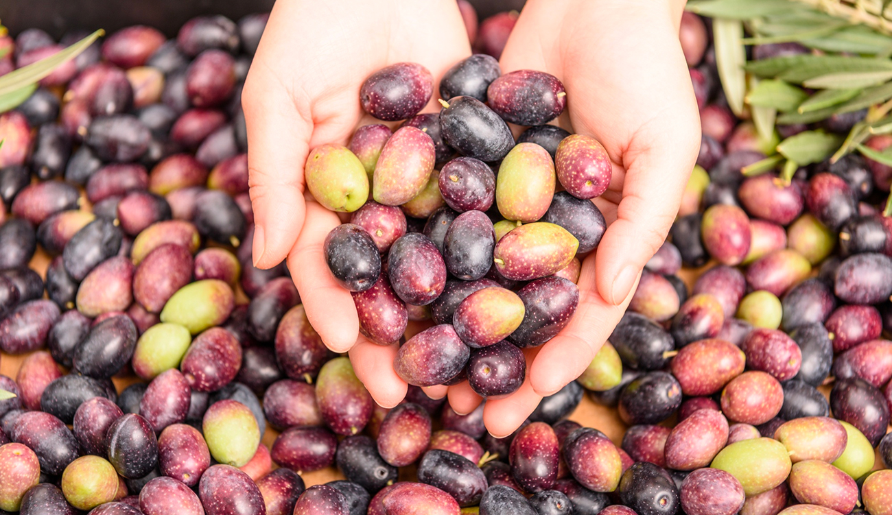 Huile d’olive : La Tunisie vise le 2e rang mondial !