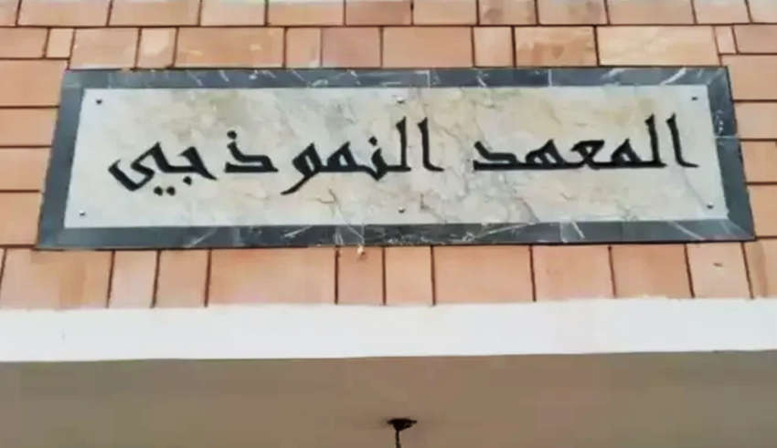 Лицер пиулот