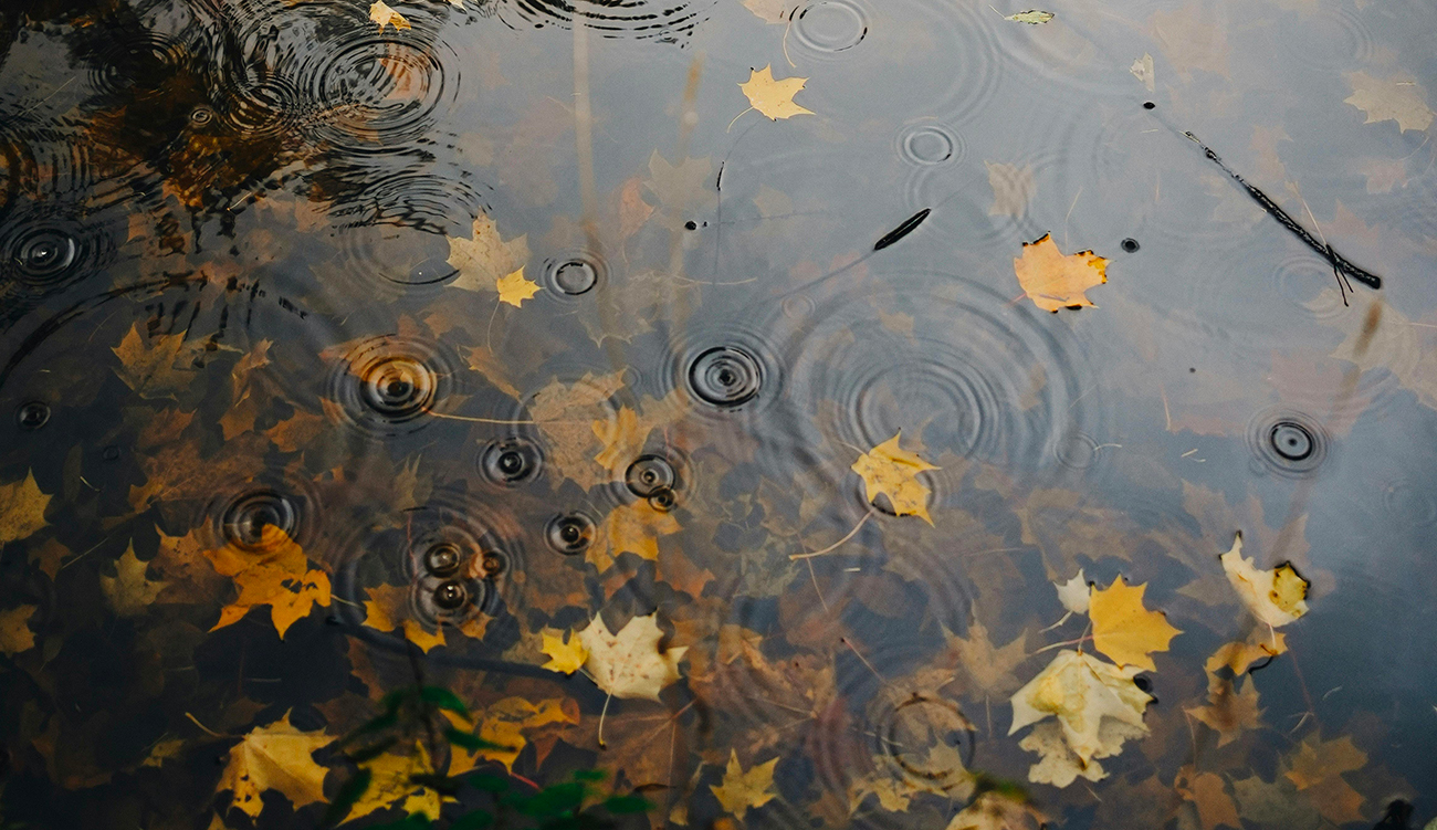 Météo : pluies éparses et vents forts sur le littoral