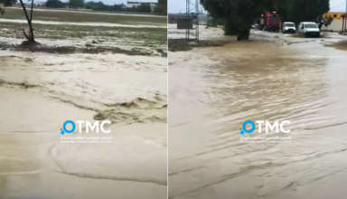 Ptmc bizerte