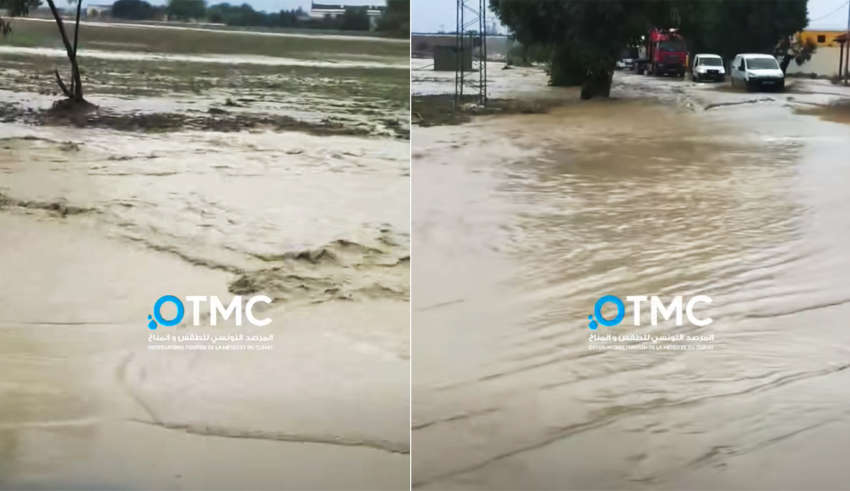 Ptmc bizerte