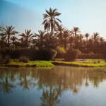 Sud2