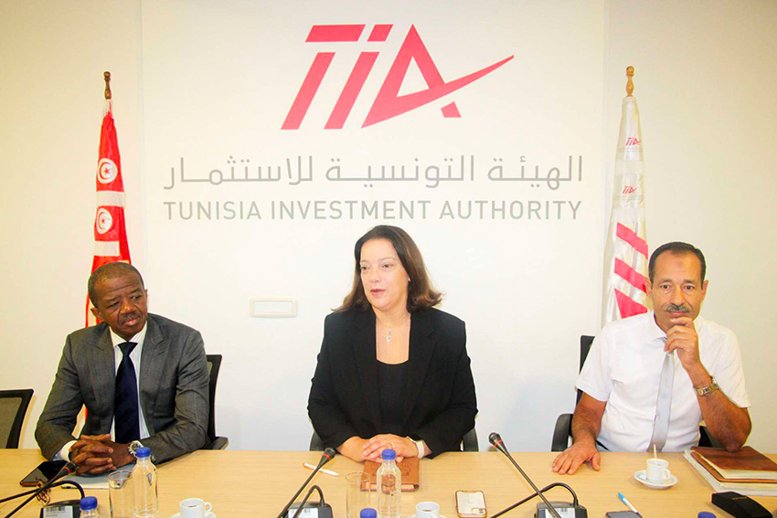 Инвестиционные органы Туниса