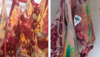 Viande perimee