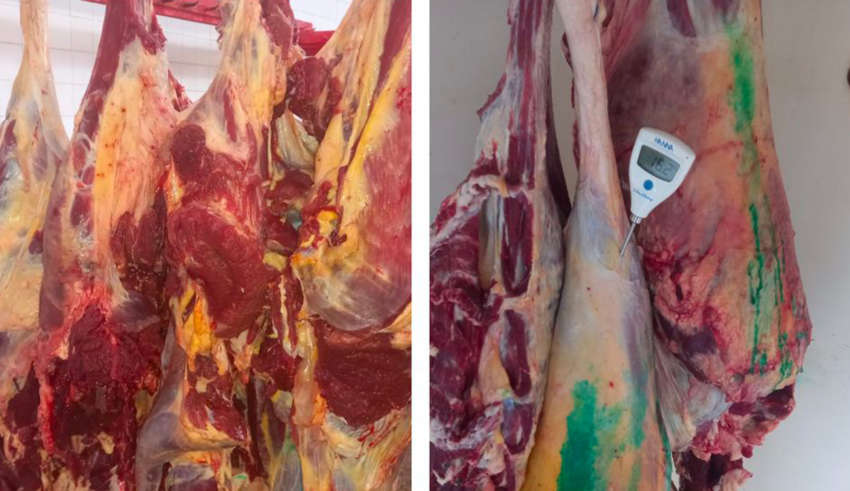 Viande perimee