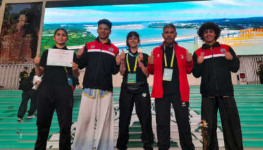 Wushu kung fu